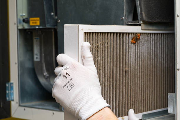 Best Residential Air Duct Cleaning  in Reading, MI